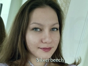 Silverbeech