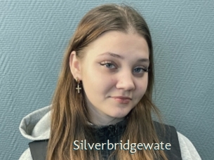 Silverbridgewate