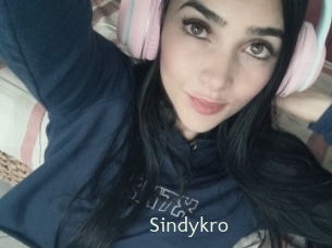 Sindykro