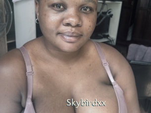 Skybirdxx