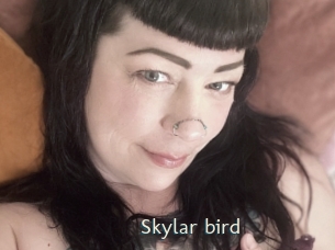 Skylar_bird