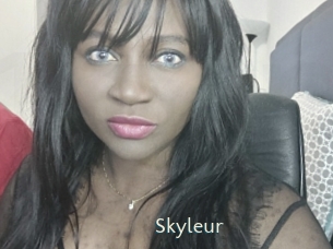 Skyleur