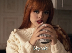 Skynabi