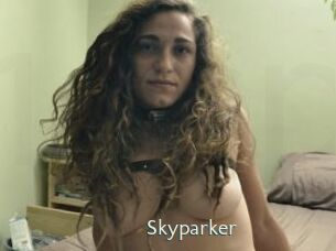 Skyparker