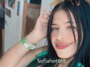 sofiahot018 1 grosse chatte poilue