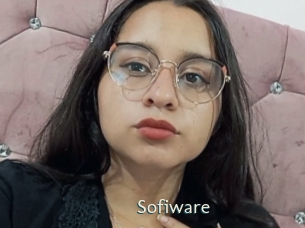 Sofiware