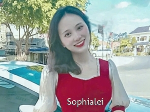 sophialei 1 grosse chatte poilue