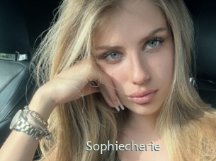 sophiecherie 1 grosse chatte poilue