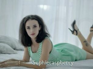 sophieraspberry 1 grosse chatte poilue