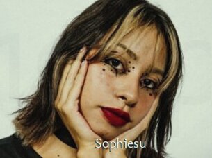 sophiesu 1 grosse chatte poilue