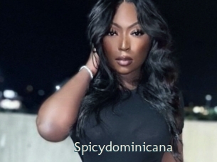 Spicydominicana