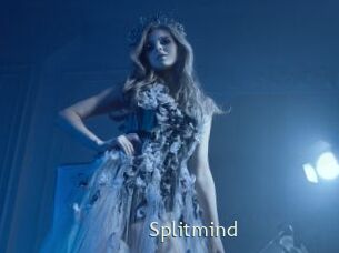 Splitmind