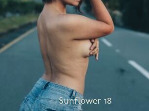 Sunflower_18