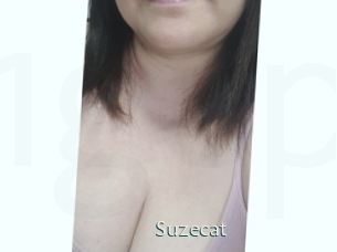 Suzecat