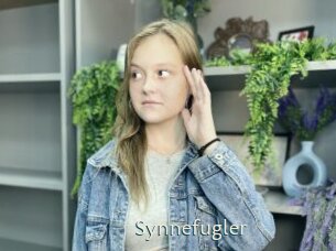 Synnefugler