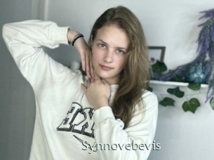 Synnovebevis