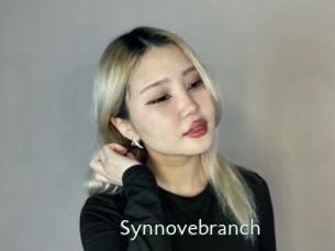 Synnovebranch