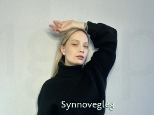 Synnovegleg