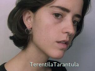 TerentilaTarantula