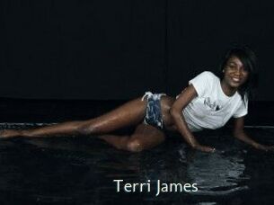 Terri_James 1 grosse chatte poilue