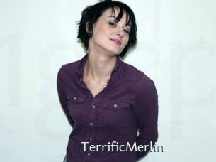 TerrificMerlin