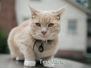 TestAlaric