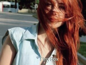 TinyFox