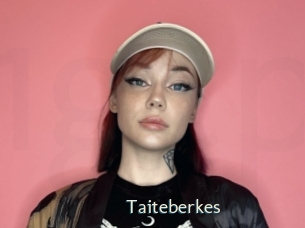 Taiteberkes