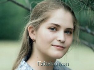 taitebrinson 1 grosse chatte poilue