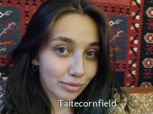 Taitecornfield