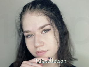 taiteelletson 1 grosse chatte poilue
