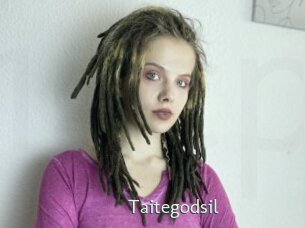 Taitegodsil