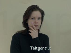 Taitgentile
