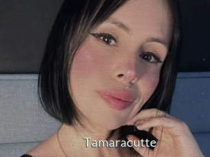 tamaracutte 1 grosse chatte poilue
