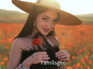 Tamilsgeo