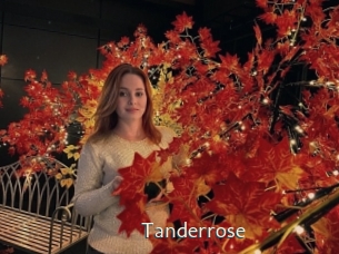 Tanderrose