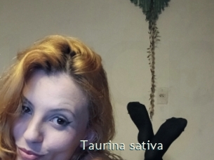 Taurina_sativa