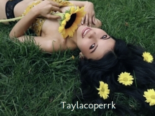 taylacoperrk 1 grosse chatte poilue