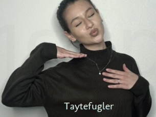 Taytefugler