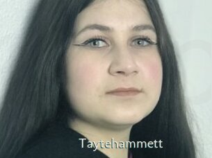 Taytehammett