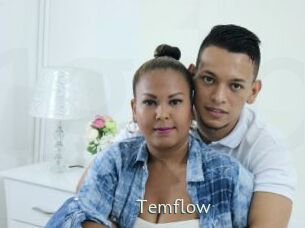 Temflow