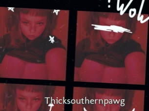 thicksouthernpawg 1 grosse chatte poilue