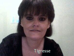 tigresse 1 grosse chatte poilue
