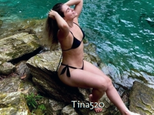 Tina520