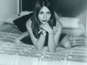 Tinacattie