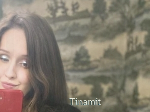 Tinamit