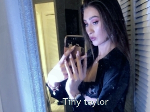 Tiny_taylor
