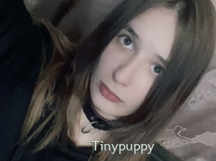 Tinypuppy
