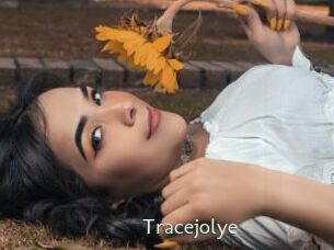 tracejolye 1 grosse chatte poilue