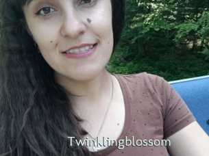 twinklingblossom 1 grosse chatte poilue